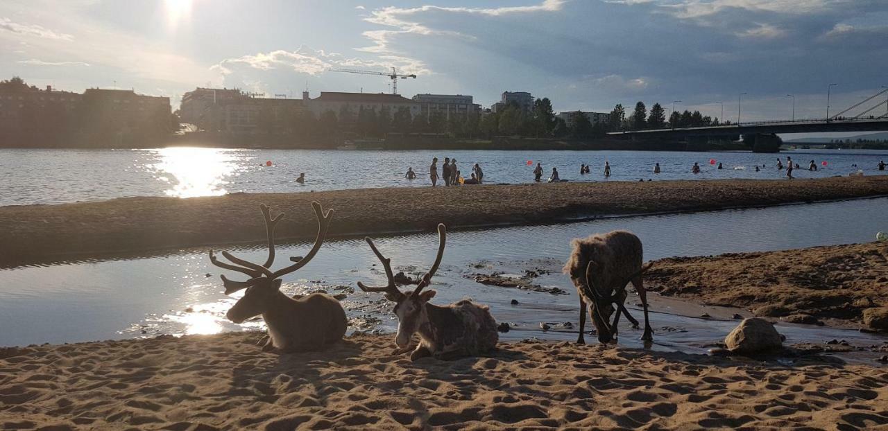 Kismet Apartman Rovaniemi Kültér fotó